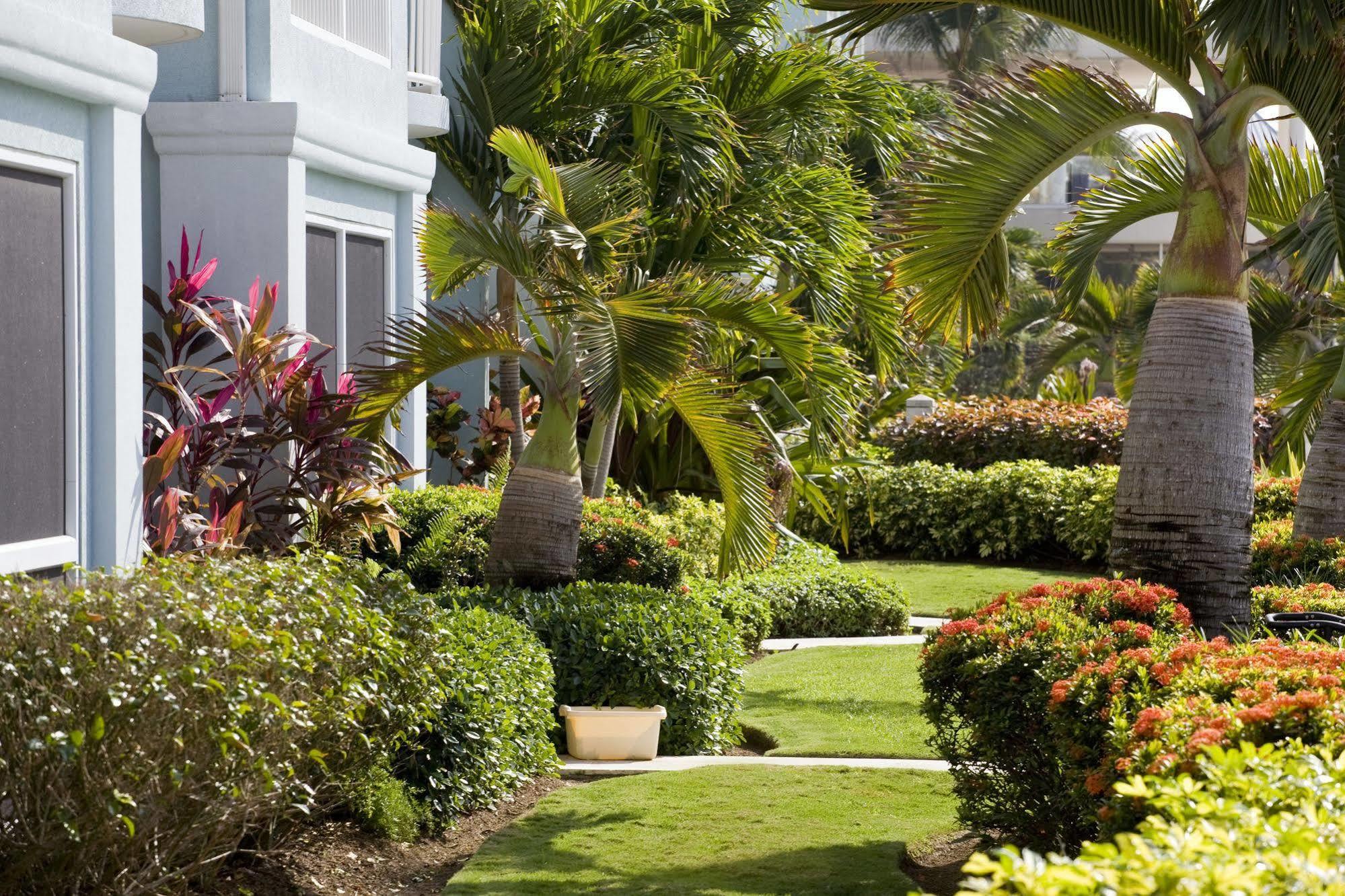 Aparthotel Coral Stone Club Dog City Exterior foto